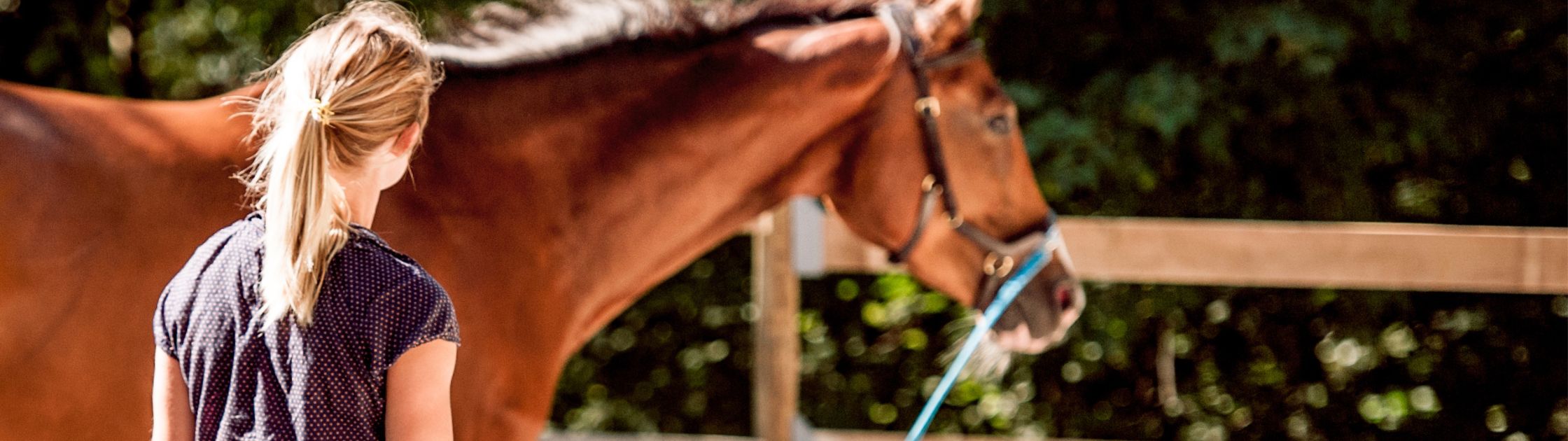 Longeren: een goede training voor je paard?